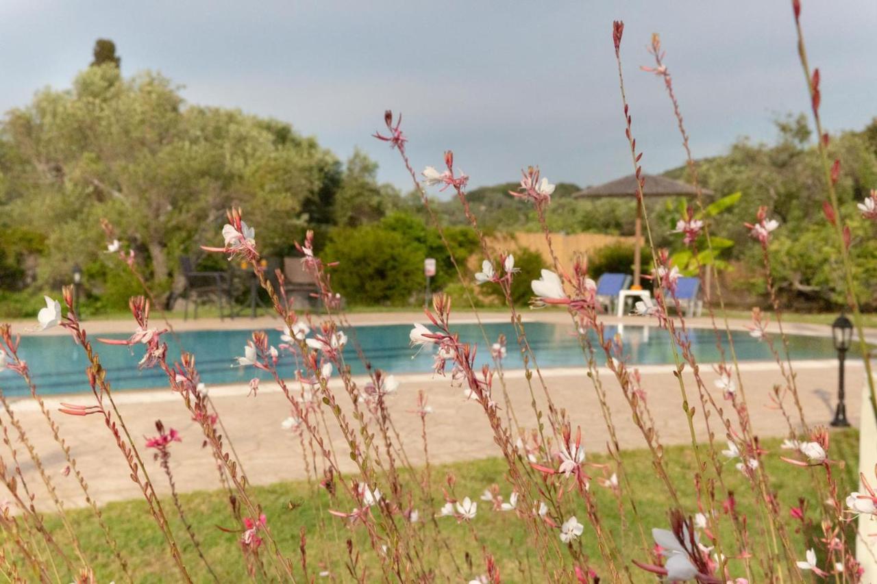 Villa Adonis Halikounas Dış mekan fotoğraf