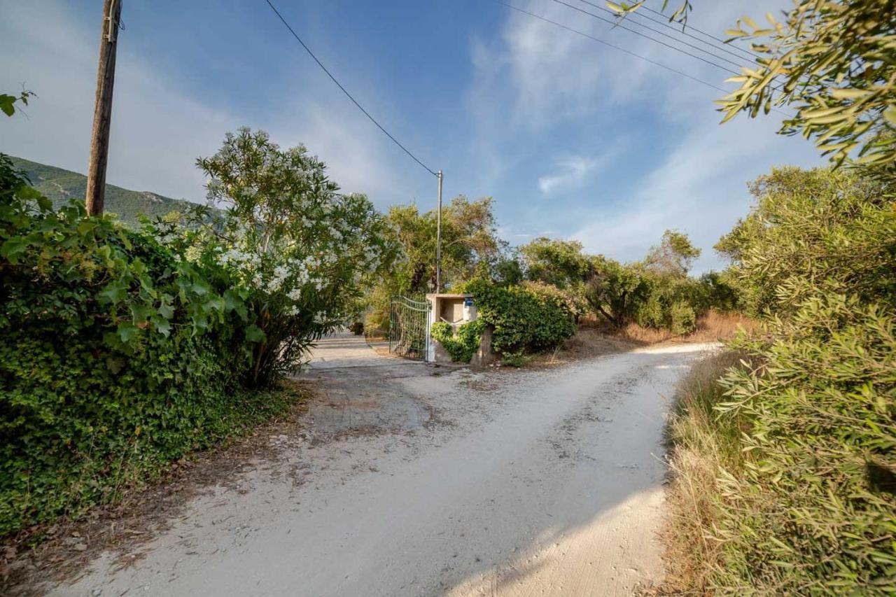 Villa Adonis Halikounas Dış mekan fotoğraf